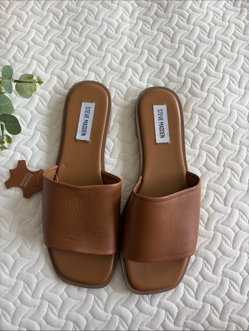 Steve Madden Brown Wide-Band Slide Mules